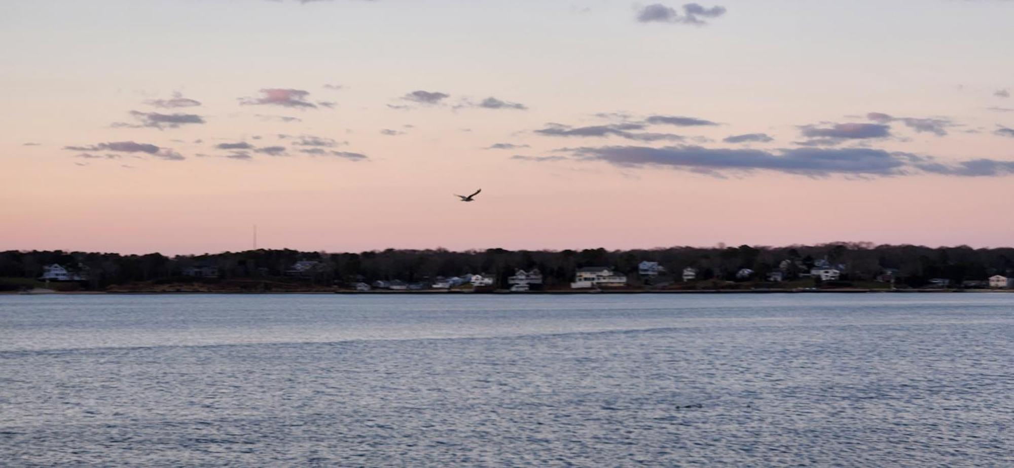 Ocean View Terrace Motel Hampton Bays Bagian luar foto