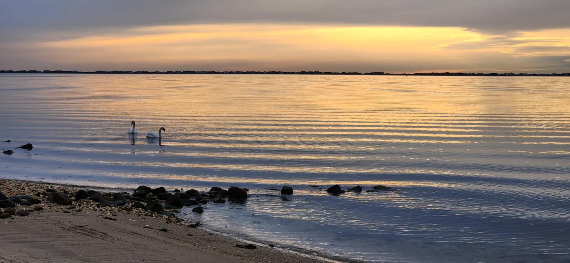 Ocean View Terrace Motel Hampton Bays Bagian luar foto